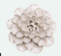 Chive Ceramic Flowers English Garden EGI5 Ivory European Water Lilly