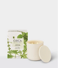 White Tea & Wild Mint Circa Candles 10.6 oz